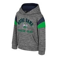Toddler Colosseum Gray Notre Dame Fighting Irish Wizard City Hoodie