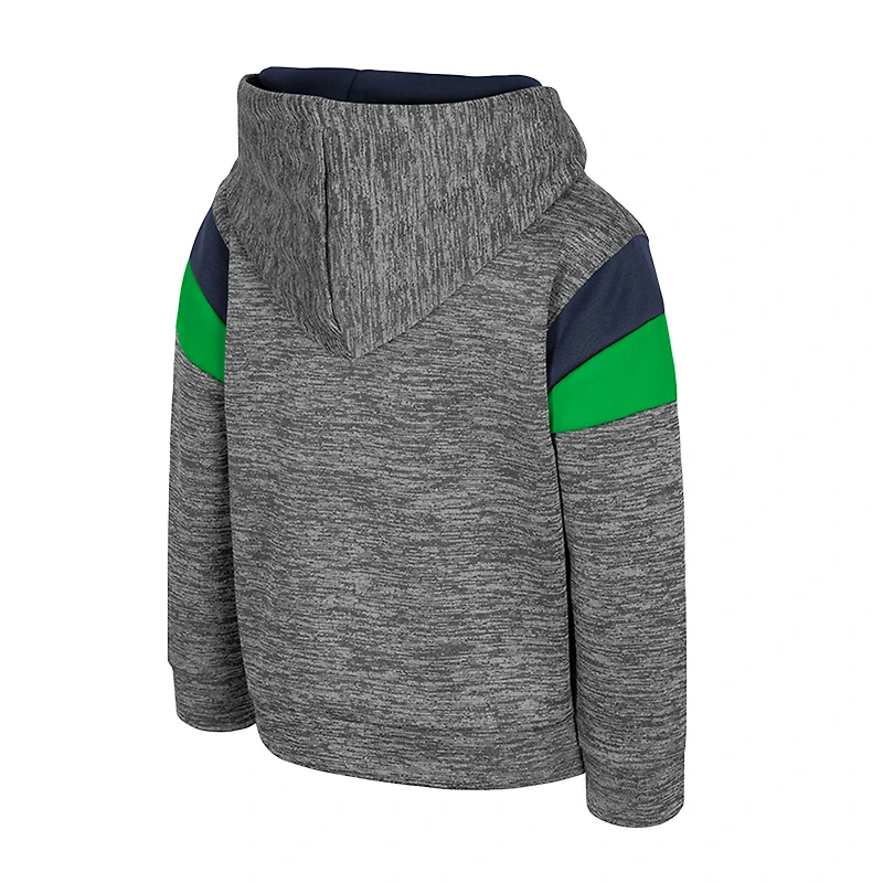 Toddler Colosseum Gray Notre Dame Fighting Irish Wizard City Hoodie