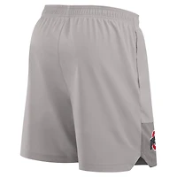 Men's Nike Gray Ohio State Buckeyes 2025 Sideline Dri-FIT Shorts
