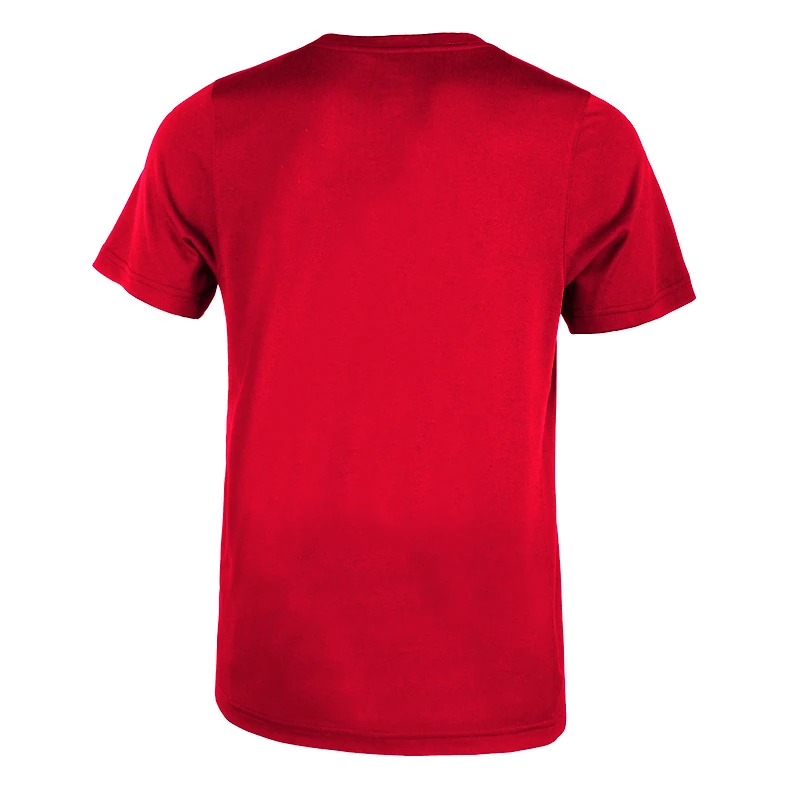 Preschool Nike Scarlet Ohio State Buckeyes Legend Performance T-Shirt