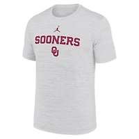 Men's Jordan Brand Ash Oklahoma Sooners 2025 Sideline Velocity Performance T-Shirt