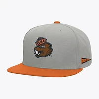 Men's Mitchell & Ness  Gray/Orange Oregon State Beavers Plaid OG Snapback Hat