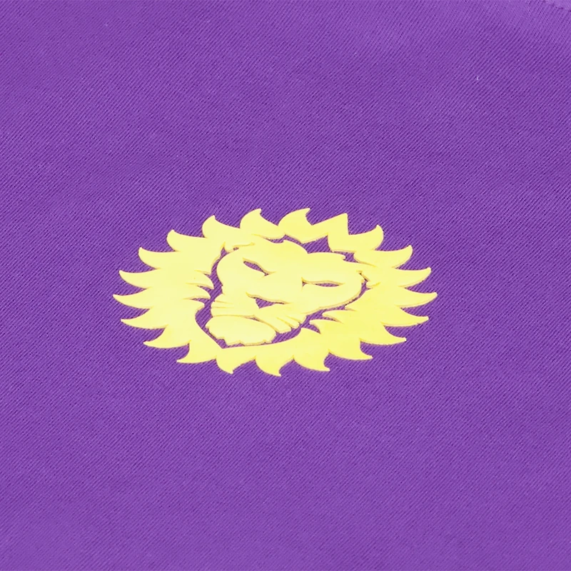 Men's Purple Orlando City SC Street Heavyweight Relaxed T-Shirt