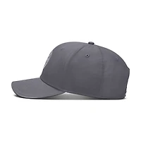 Unisex Jordan Brand Paris Saint-Germain Rise Flex Hat