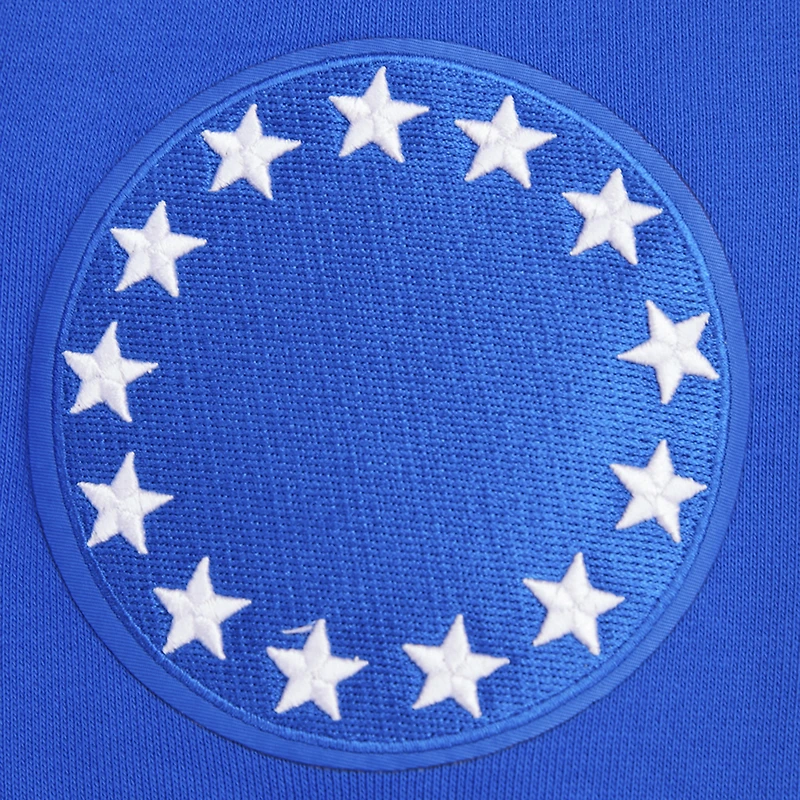 Sweat à capuche Pro Standard Royal Philadelphia 76ers Script Tail pour hommes