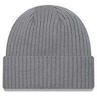 Men's New Era Gray Philadelphia Eagles Color Pack Cuffed Knit Hat