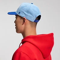 Men's Fanatics  Denim Philadelphia Phillies Twinbill Snapback Hat