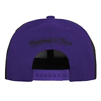 Youth Mitchell & Ness  Black Phoenix Suns Mascot Snapback Hat