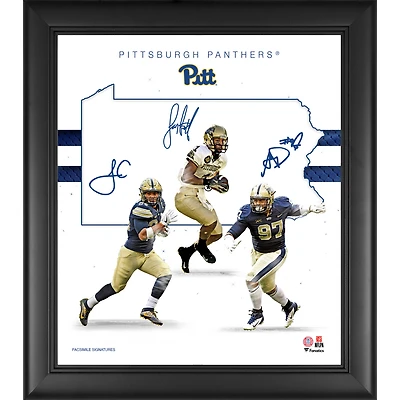 Collage encadré 15" x 17" des fondations de la franchise des Panthers de Pittsburgh