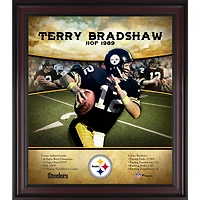 Profil de carrière encadré de Terry Bradshaw Pittsburgh Steelers 15" x 17" Temple de la renommée