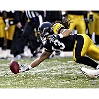 Troy Polamalu Pittsburgh Steelers Fanatics Authentic Unsigned 2008 Diving Interception Photograph