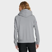 Sweat à capuche Nike gris Pittsburgh Steelers 1933 Sideline Standard Issue Dri-FIT pour femme