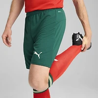 Men's Puma  Green Portugal National Team 2025 Home Replica Shorts