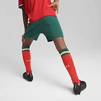 Youth Puma  Green Portugal National Team Replica Shorts