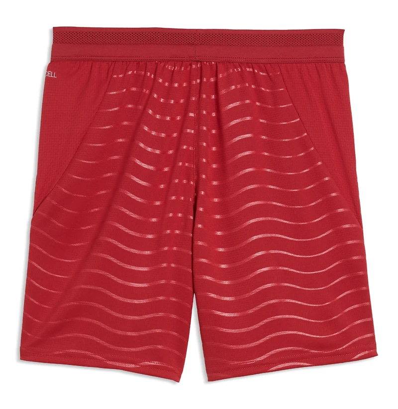 Youth Puma Red Portugal National Team 2026 Replica Shorts