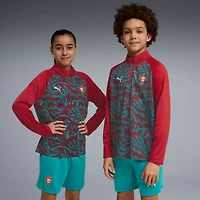 Youth Puma Red Portugal National Team Pre-Match Quarter-Zip Pullover