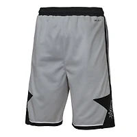 Youth Jordan Brand Silver San Antonio Spurs Statement Edition Swingman Dri-FIT Shorts