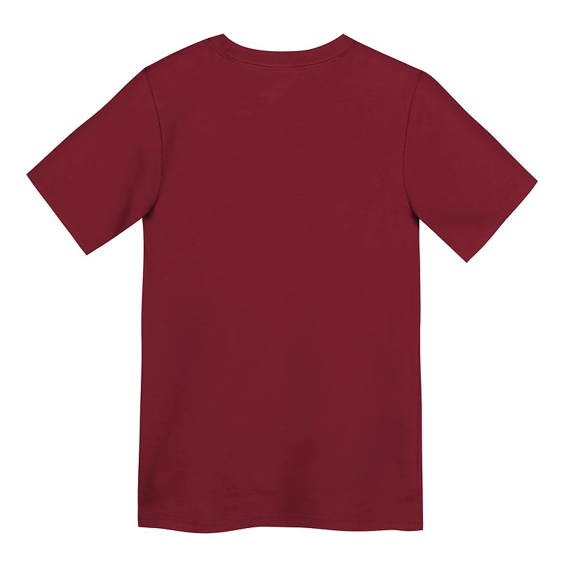 Preschool Nike Scarlet San Francisco 49ers Primary Logo Legend Performance T-Shirt