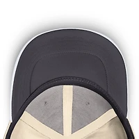 Men's Nike  Cream San Francisco Giants Rise Performance Flex Hat