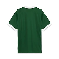 Maillot Puma SE Palmeiras 2025/26 Domicile Replica pour homme, vert