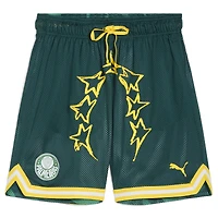 Men's Puma Green SE Palmeiras 2025 FIFA Club World Cup Hoops Reversible Shorts