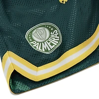 Men's Puma Green SE Palmeiras 2025 FIFA Club World Cup Hoops Reversible Shorts