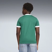 Maillot Puma Jeune SE Palmeiras Réplique Domicile Vert 2025/26