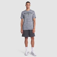 T-shirt Nike gris loup pour homme, collection Rivalités 2025, Seattle Seahawks, Sideline Velocity Dri-FIT