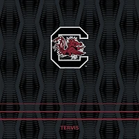 Tervis South Carolina Gamecocks Full Speed 36oz. Venture Stainless Steel Water Bottle