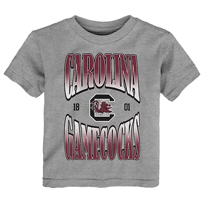 Toddler Heather Gray South Carolina Gamecocks Top Class T-Shirt