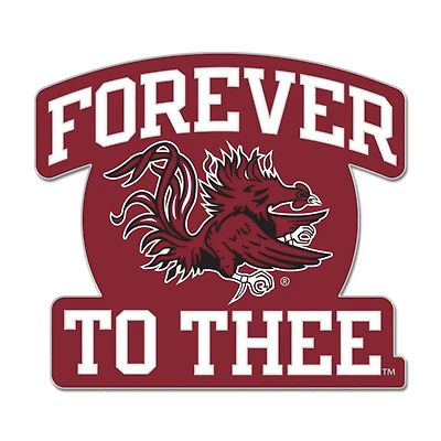 WinCraft  South Carolina Gamecocks Slogan Collector Pin