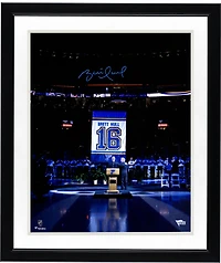 Brett Hull St. Louis Blues Autographed 16" x 20" Banner Night Photograph