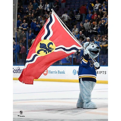 Photographie non signée du drapeau flottant des Blues de Saint-Louis Louie