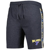 Men's Concepts Sport  Charcoal St. Louis Blues Team Stripe Shorts
