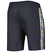 Men's Concepts Sport  Charcoal St. Louis Blues Team Stripe Shorts