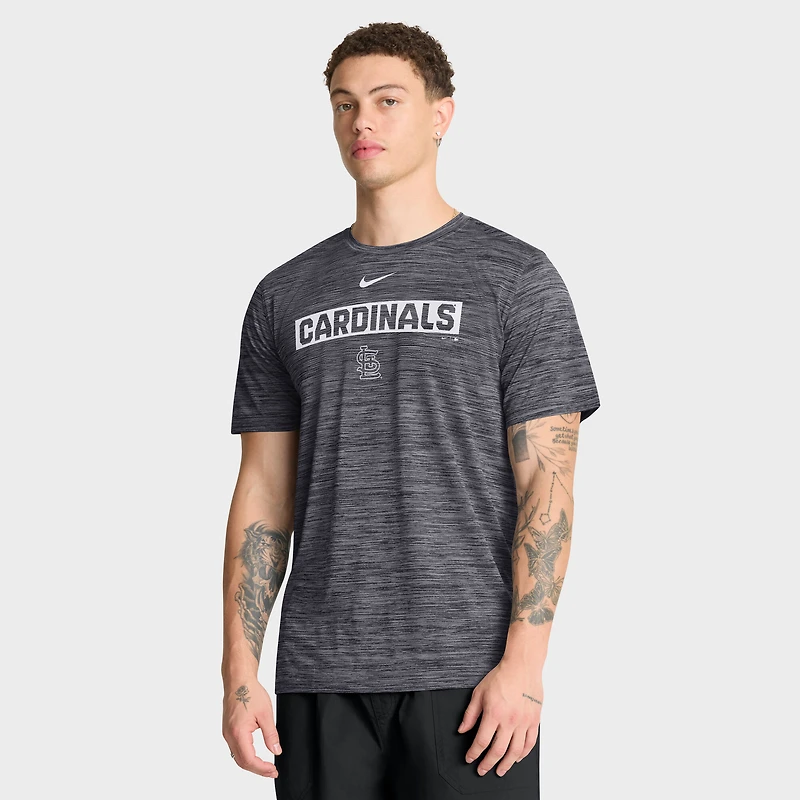 T-shirt Nike Velocity Dri-FIT noir pour homme, modèle St. Louis Cardinals
