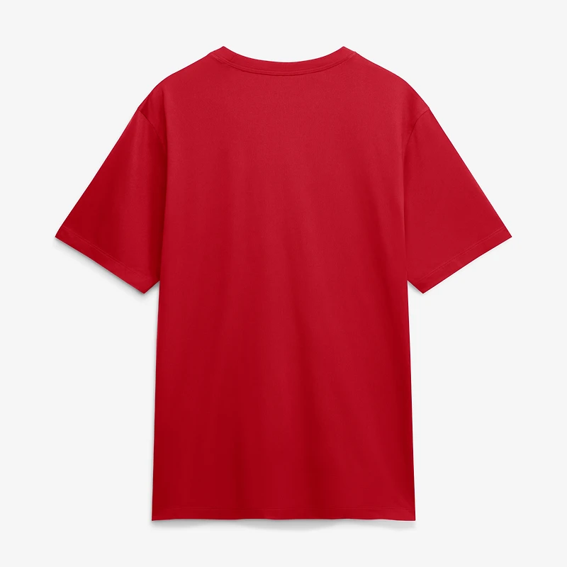 Men's Nike Red St. Louis Cardinals Knockout Team Legend Dri-FIT T-Shirt