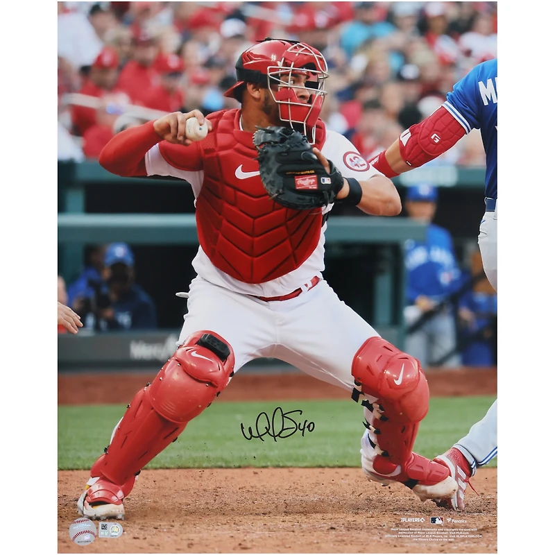 Photo verticale autographiée de Willson Contreras, receveur des Cardinals de Saint-Louis (40,6 x 50,8 cm).
