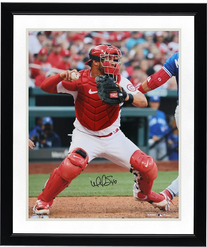Photo verticale autographiée de Willson Contreras, receveur des Cardinals de Saint-Louis (40,6 x 50,8 cm).