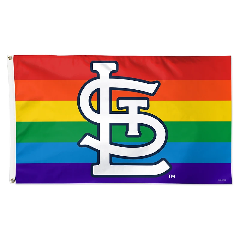 Drapeau de luxe WinCraft St. Louis Cardinals 3' x 5' à une face, fierté de l'équipe
