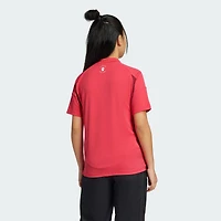 Youth adidas  Red St. Louis CITY SC 2025 Forever Replica Jersey