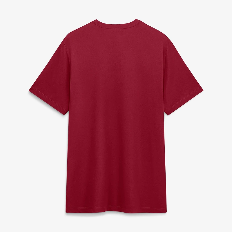 Men's Nike Cardinal Stanford Sideline Legend Dri-FIT T-Shirt
