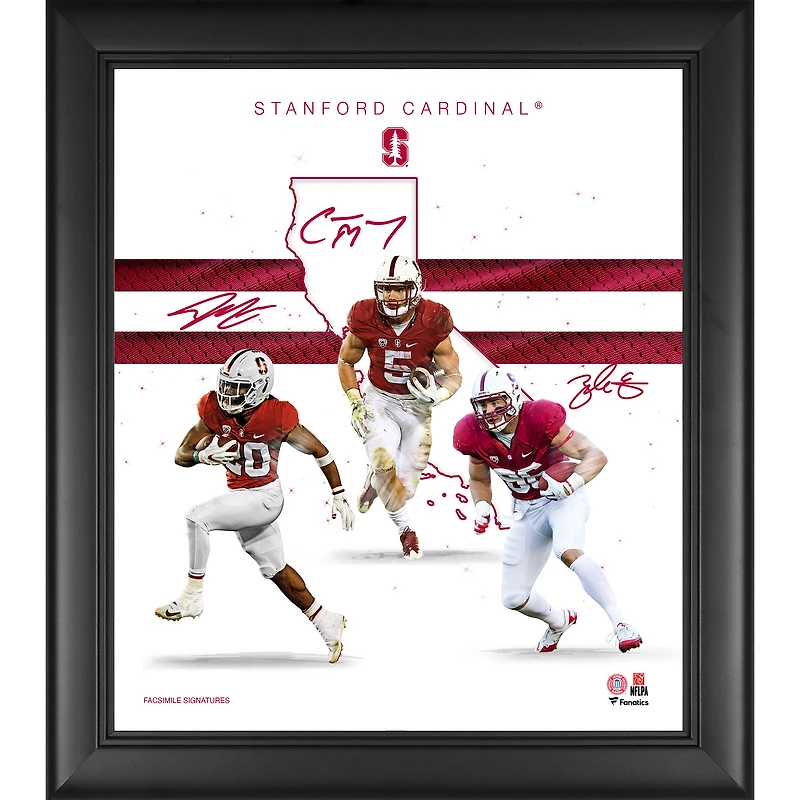 Collage encadré de 15" x 17" de Stanford Cardinal Franchise Foundations