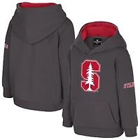 Sweat à capuche en polaire gros logo Stanford Cardinal pour tout-petits, couleur anthracite, Colosseum
