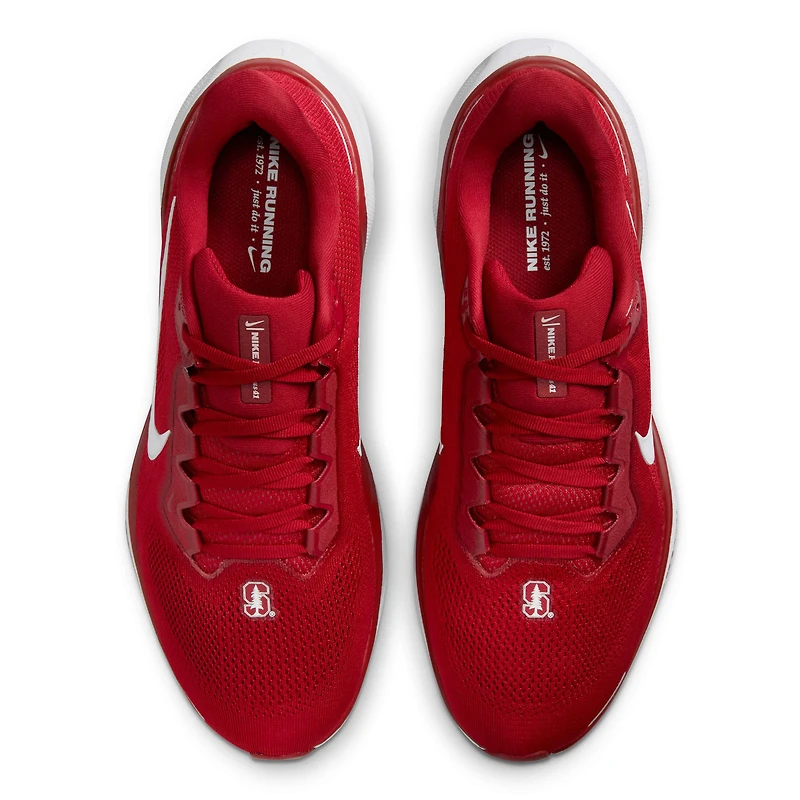 Chaussures de course unisexes Nike Cardinal Stanford Zoom Pegasus 41