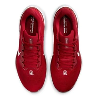 Chaussures de course unisexes Nike Cardinal Stanford Zoom Pegasus 41