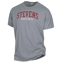 Men's ComfortWash Gray Stevens Institute of Technology Ducks Garment Dyed T-Shirt