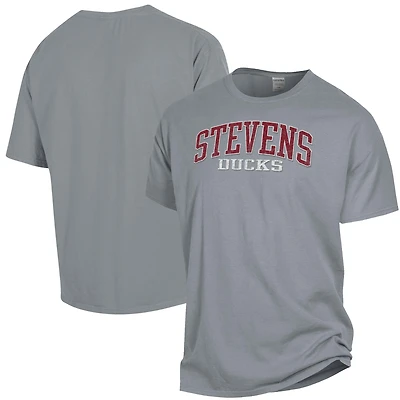 Men's ComfortWash Gray Stevens Institute of Technology Ducks Garment Dyed T-Shirt