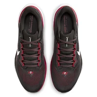 Chaussures de course unisexe Nike Zoom Pegasus 41 grises des Tampa Bay Buccaneers