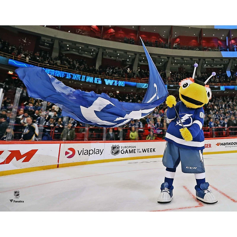 Photographie non signée du drapeau flottant Lightning de Tampa Bay Thunderbug